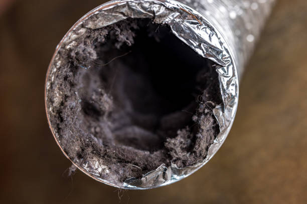 Affordable HVAC Duct Cleaning in Valley, NE